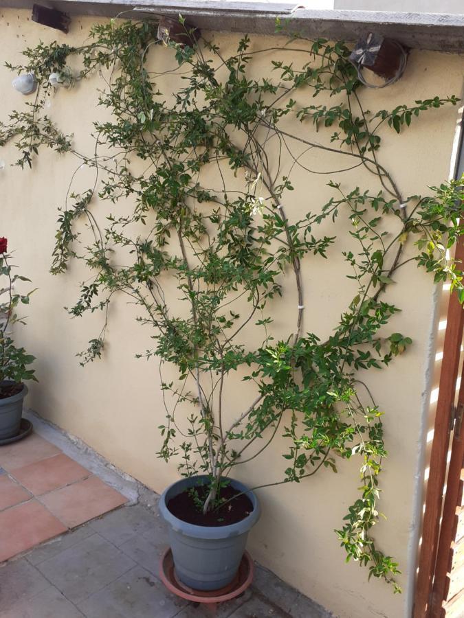 17 Flats And Roof Garden Apartment Athens Luaran gambar