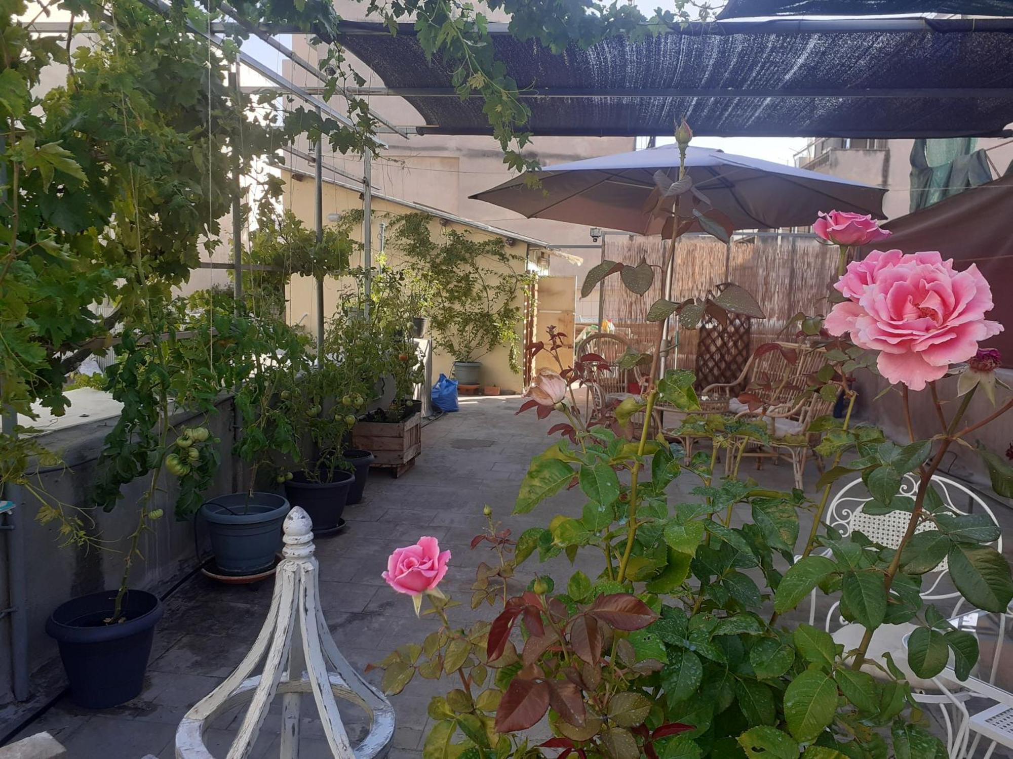 17 Flats And Roof Garden Apartment Athens Luaran gambar