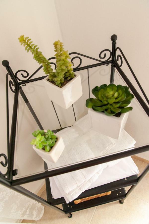 17 Flats And Roof Garden Apartment Athens Luaran gambar
